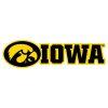 university of iowa logo