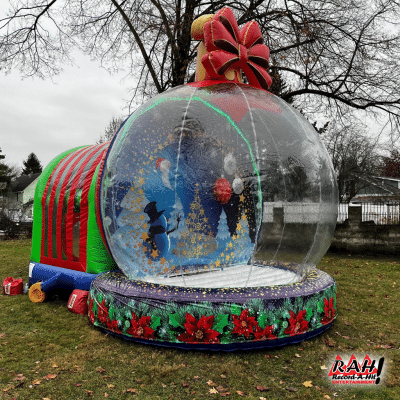 ornament globe