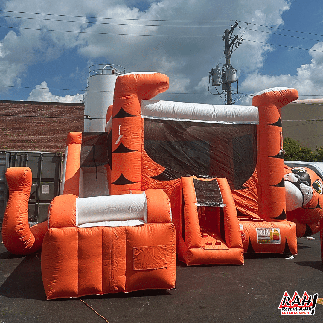 Tiger Belly Bounce and Slide Combo Tiger Belly Bounce and Slide Combo